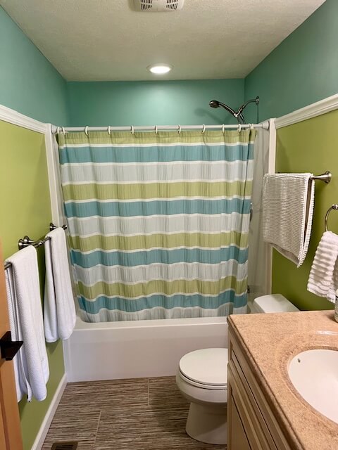 bathroom remodel on a budget before