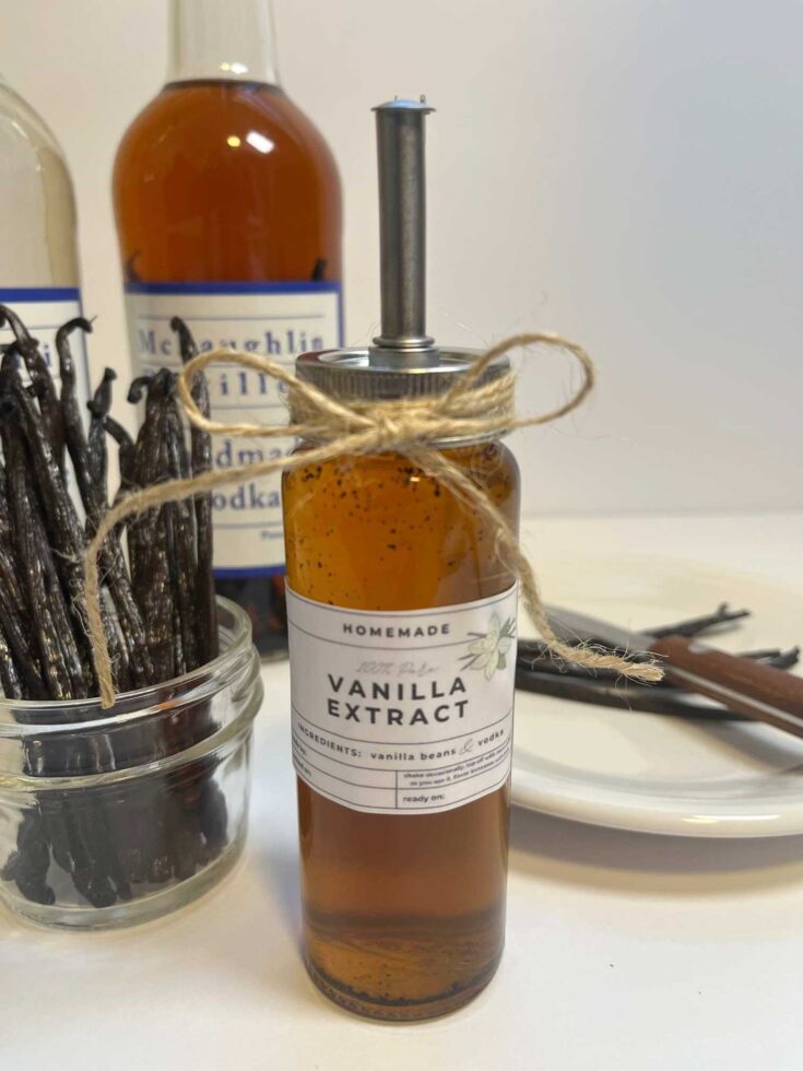vanilla extract, vanilla beans with vodka