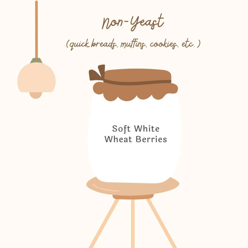 mason jar of Soft white wheat berries to convert a recipe to freshly milled flour
