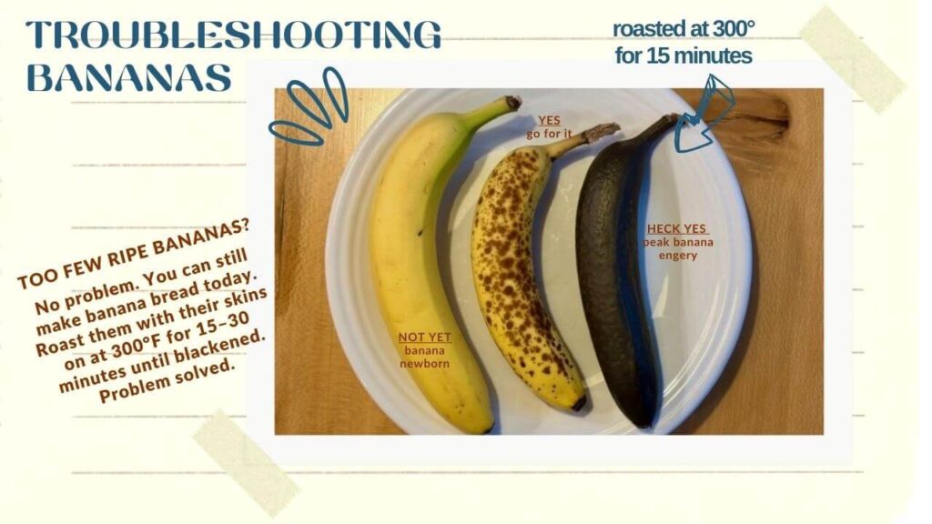 three bananas: fresh, medium ripe and very ripe