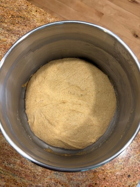 dough that has fully risen in the mixing bowl