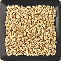 Soft White Wheat Berries (Organic)