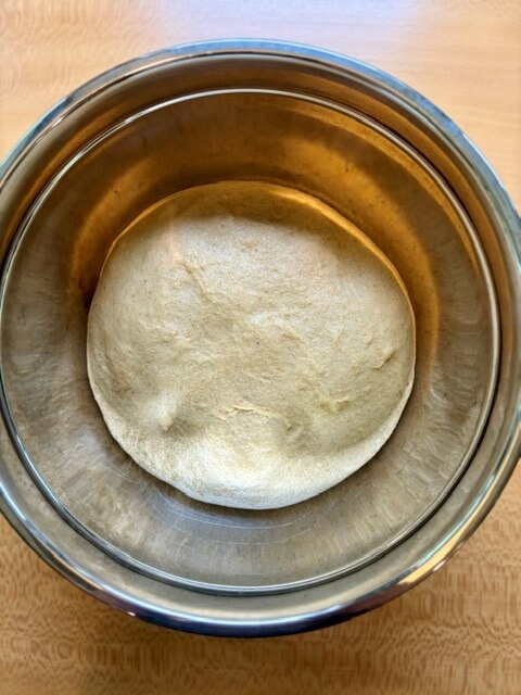 fresh milled flour dough after first rise