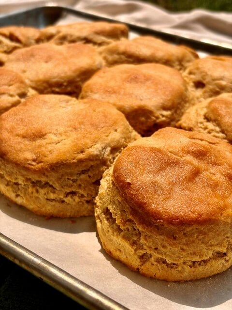 fresh milled flour biscuits on a baking tray